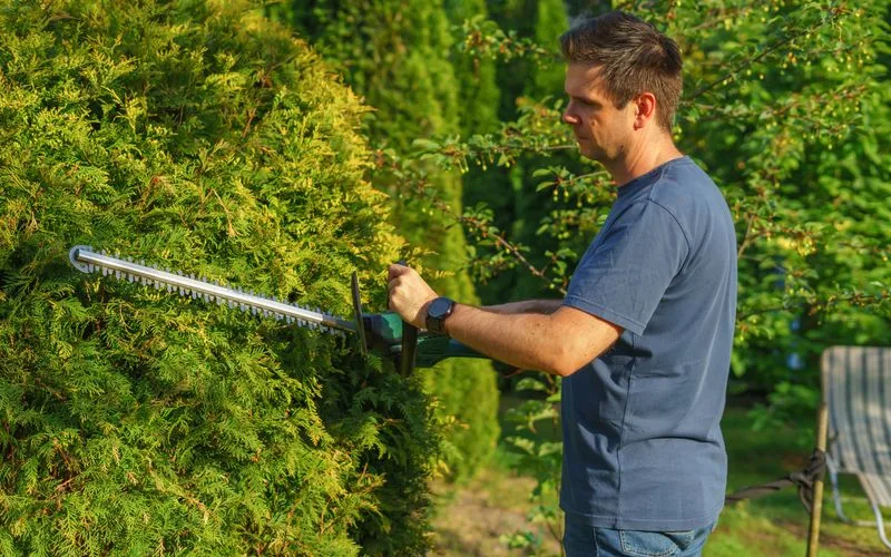 Mann schneidet mit einer elektrischen Heckenschere eine Hecke im Garten