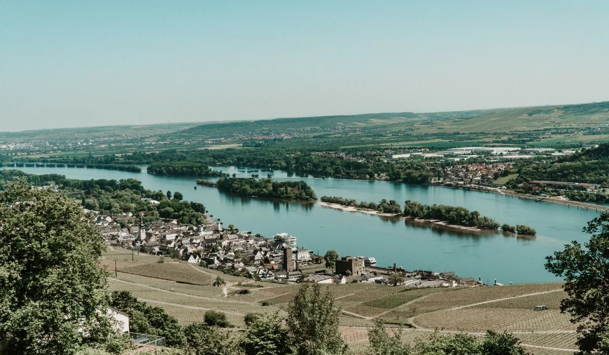 Luftaufnahme des Rheins mit Weinbergen bei Rüdesheim am Rhein